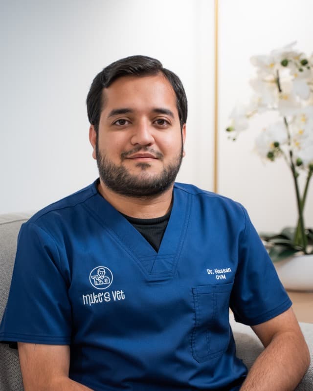 Dr. Mohamad Hassan